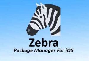 Zebra Package