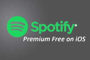 Download Spotify++ Premium Free on iOS