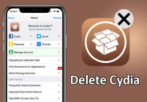 Cydia Eraser App