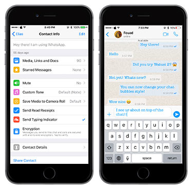 WhatsApp Watusi iOS Setting