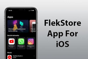 FlekStore App
