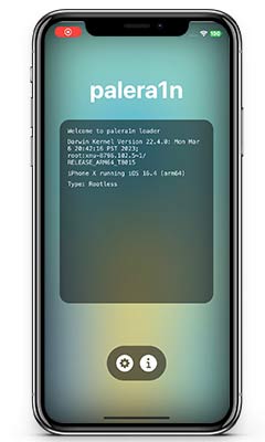 Palera1n App