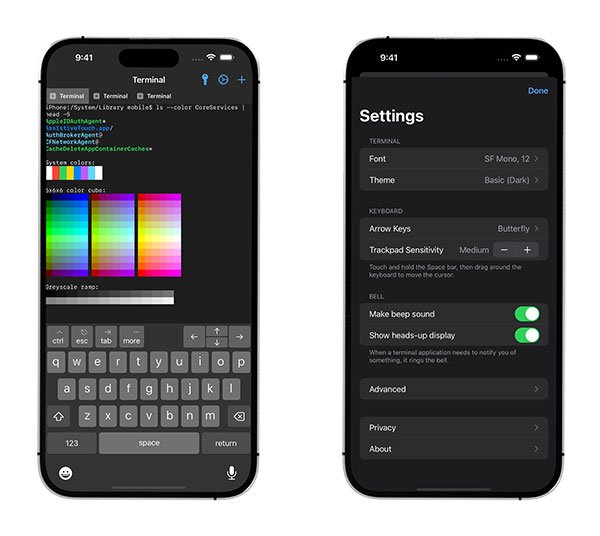 NewTerm 2 Tweak